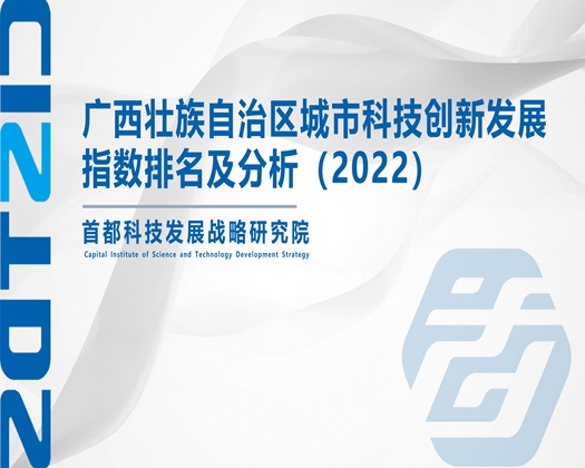 日本大鸡吧【成果发布】广西壮族自治区城市科技创新发展指数排名及分析（2022）